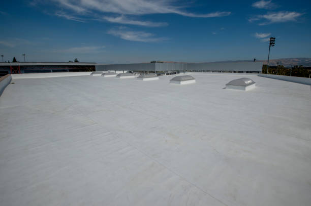 Best Tile Roofing Installation  in Momence, IL