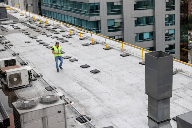 Best Roof Ventilation Installation  in Momence, IL