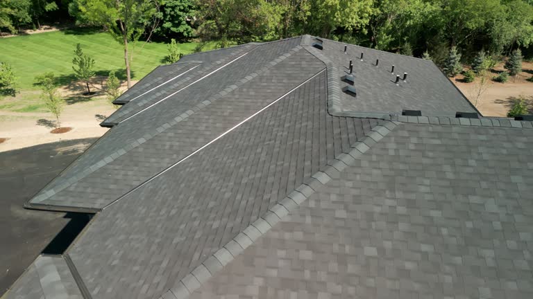 Best Solar Panel Roofing Installation  in Momence, IL