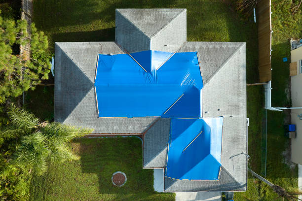 Best Roof Installation  in Momence, IL