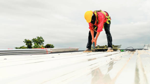 Best Gutter Installation and Repair  in Momence, IL