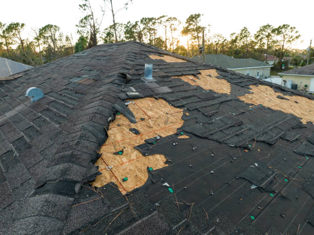Best Skylight Installation and Repair  in Momence, IL