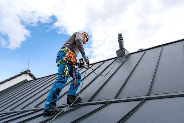 Best Roof Insulation Installation  in Momence, IL